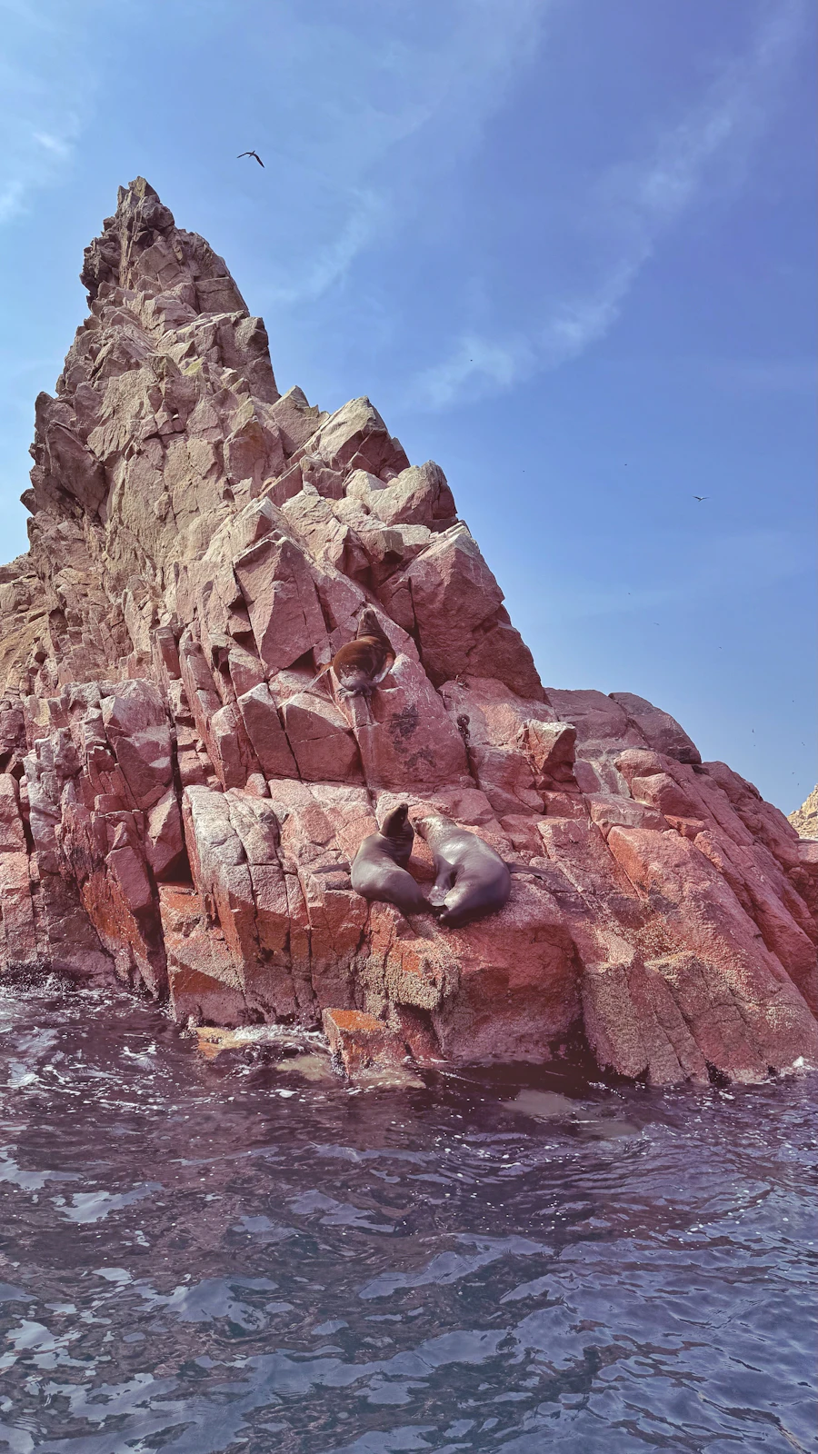 Sea lions resting on a red rock island at the Ballestas Islands off Paracas