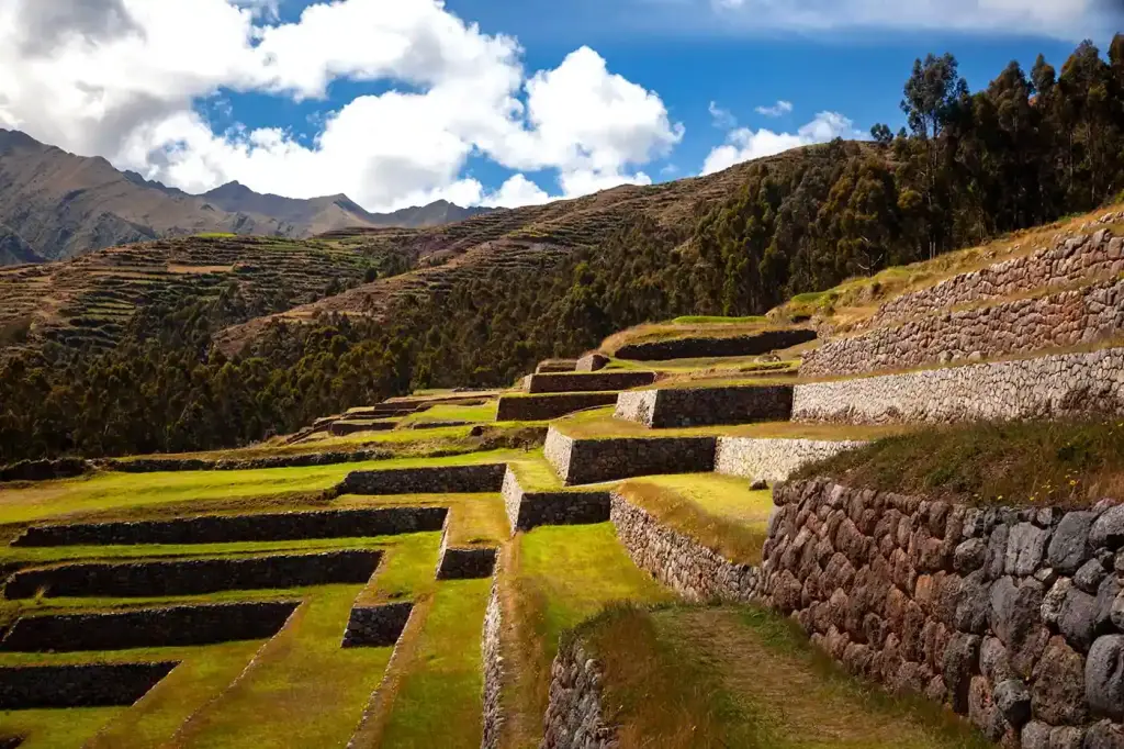 Stone Inca terraces at Chinchero with Andean hills and eucalyptus trees