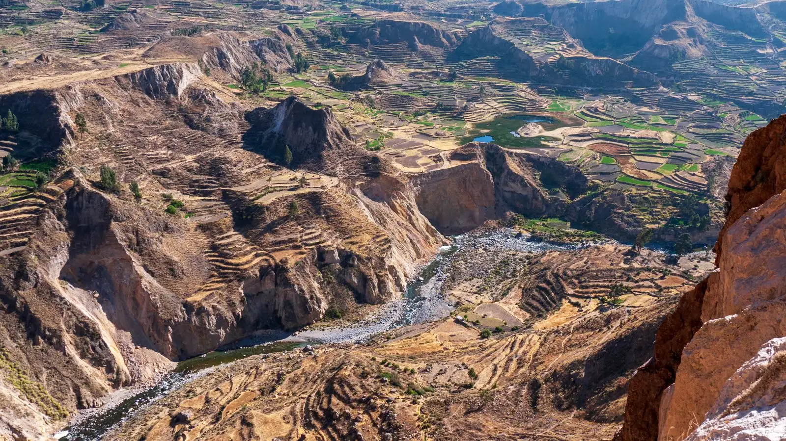 Terraced slopes and the Colca River deep in the Colca Canyon
