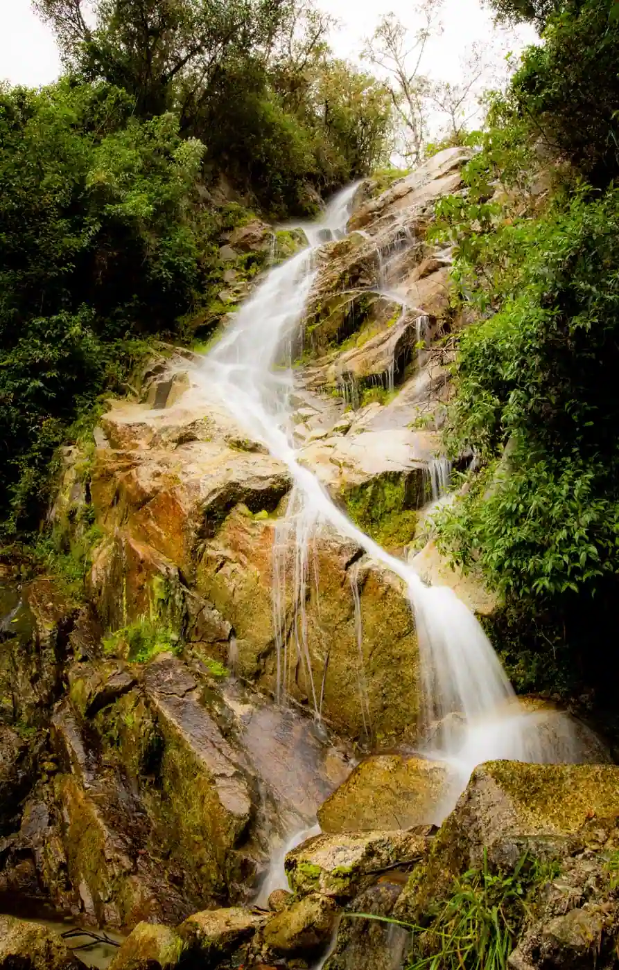 Waterfall in the cloud forest beside the Inca Trail