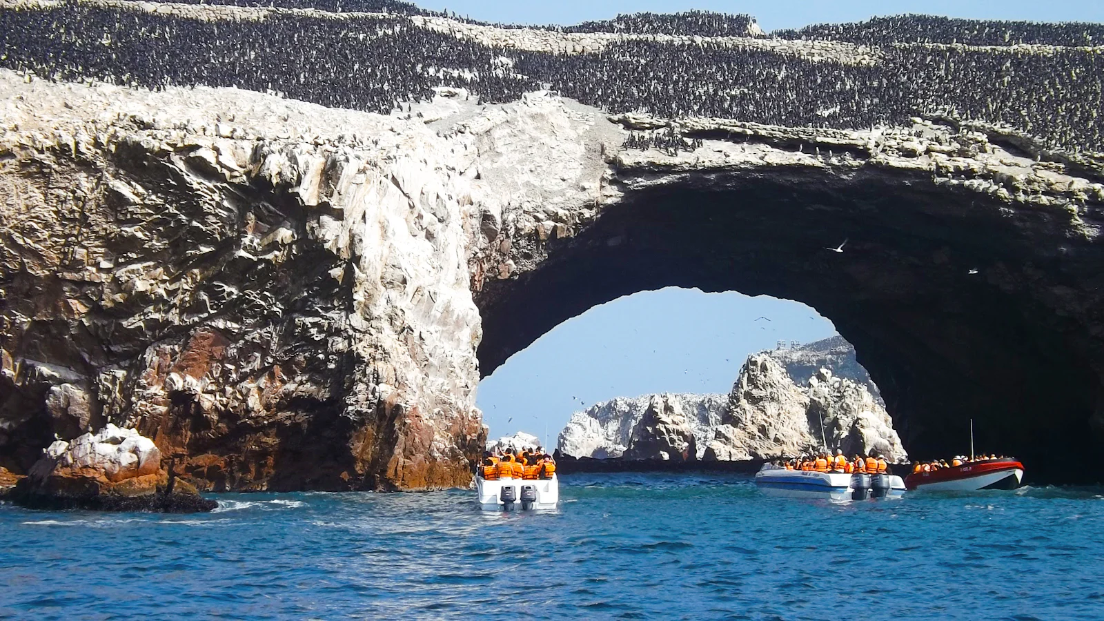 Tour boats beneath a rock arch crowded with seabirds on the islands off Paracas