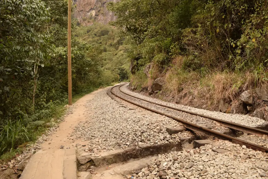 Walking path beside the railway through cloud forest near Aguas Calientes