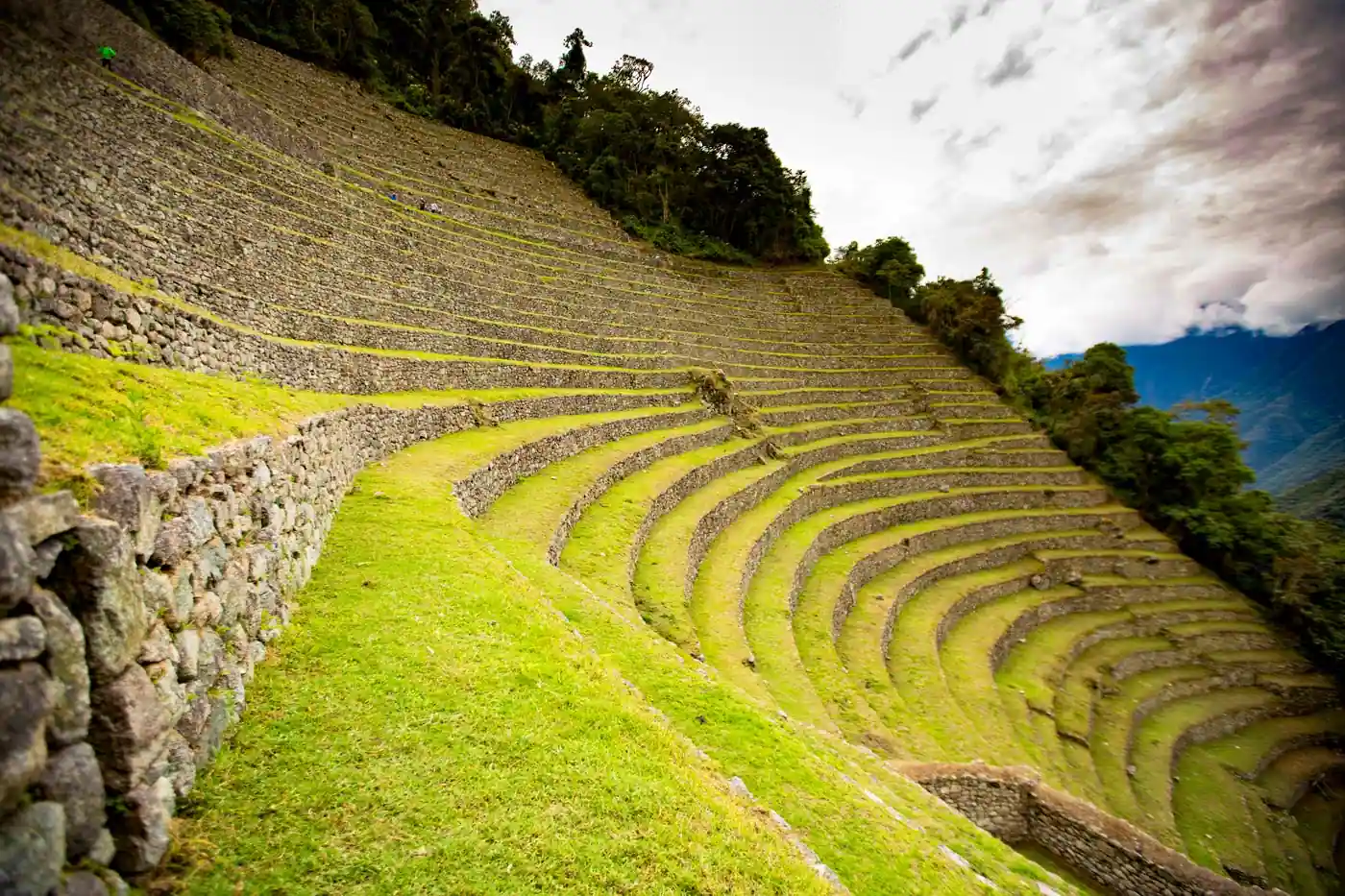 Wiñay Wayna Inca ruins surrounded by cloud forest