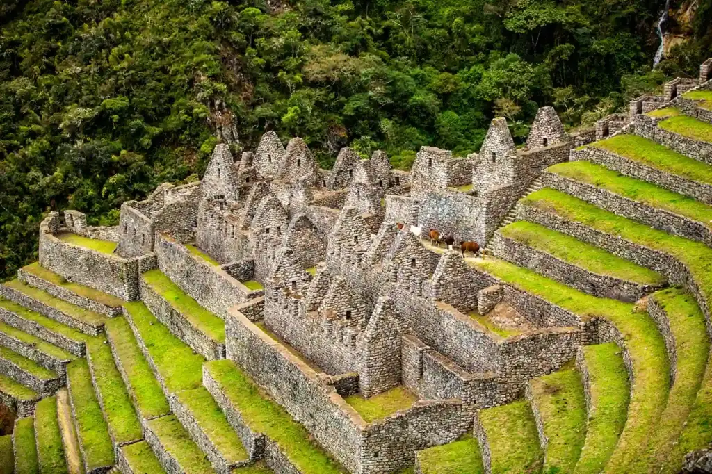 Curved stone terraces of Wiñay Wayna along the Inca Trail